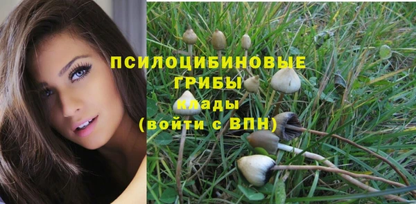 мяу мяу мука Вяземский