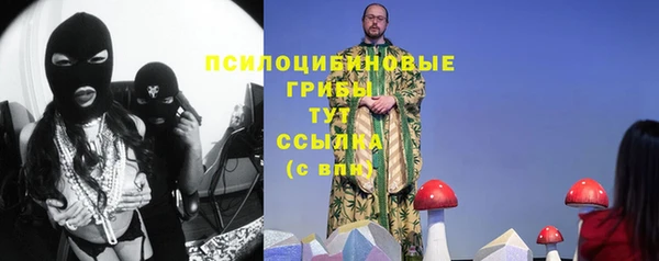 сатива Горнозаводск