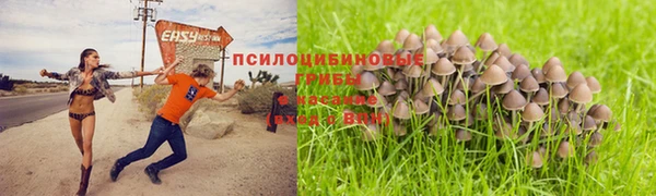 мяу мяу мука Вяземский